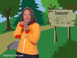 beaver