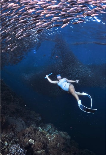 It’s never too late to learn a new sport this summer. #freediving #freedive #plussizefreediver #underwaterworld #summervibes
