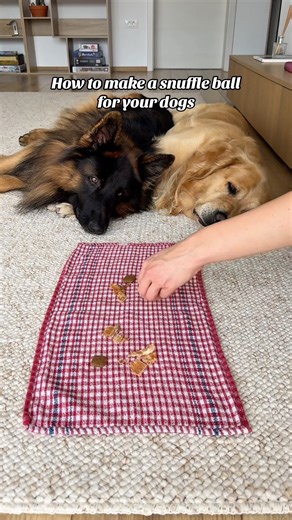 How to make a snuffle ball for your dogs #dogs