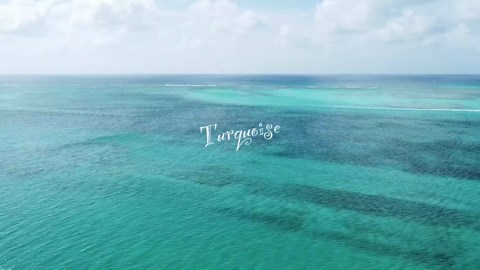 Turquoise - Official Trailer