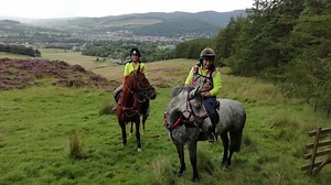 Former hunter becomes championship-winning TREC horse - Horse & Hound