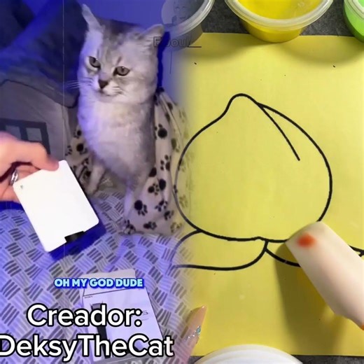 Me compre una PlayStation 5 [Fandub Español]#fandub#gatos