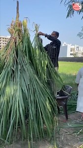 325K views · 1.2K reactions | Eco-Friendly Christmas Tree  | Hetal's Art | Facebook