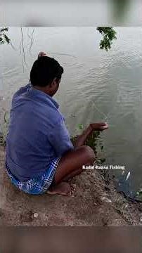 Hardworking Man Catching Mullet Fish in Bottle Trap with Maida Bait | River Fishing #fishing #fish