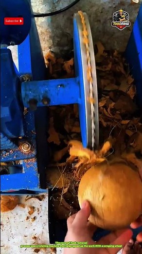 Coconut Husk Removal Process Using a Modern Coconut Peeling Machine #coconuttool
