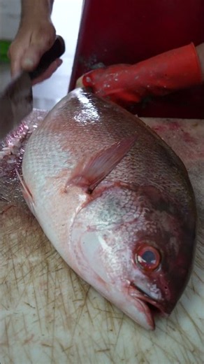 This Fish Filleting Method Is GENIUS!