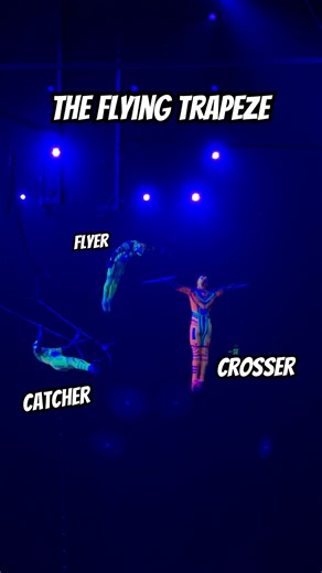 Amazing 😻🪽 #show #trapeze #performance #artist #trampoline #gymnast #circus #flip #gym #fearless