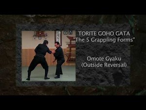 Ninja Training: Kihon Happo Demonstration, 8th Kyu, Ninjutsu, Bujinkan