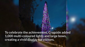 Guinness World Records reveals two new festive records