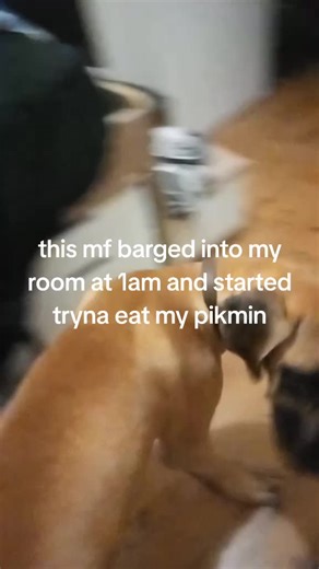 > (@swordfishy302)’s videos with Ice cream meepcity - Meep