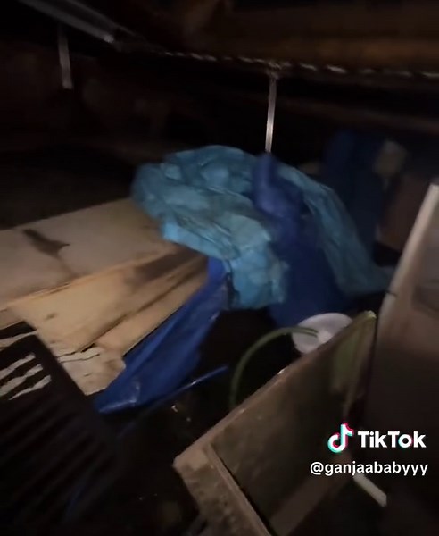 slow steps still move ya forward! 🫶🏼 if you’re reading this, don’t give up! love ya!🩵🩵🩵🩵 #sailingonpennies #boatlife #fypシ #florida #unsunkboat #sunkboat #catamaran #fypシ゚viral #dontgiveup #babysteps