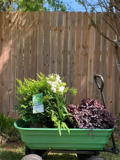 Easy Spring Planting Ideas for a Colorful Garden