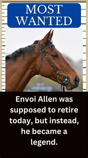 Envoi Allen RIP | Remembering the famous Race Horse | Rainbow Bridge 🏇