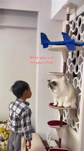 Child Gets Hit by Cat: Heartwarming Moments