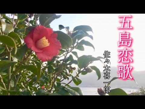 五島恋歌｜長崎・五島列島を舞台にした切ない恋の演歌（椿の花が咲く島）