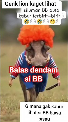 Si BB nakut-nakutin genk singa,#shorts