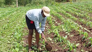 Break the bias: How gender inequality is undermining rural development