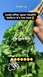 TE-DIVINA DETOX TEA!! The Original Detox Tea  Formulated and...