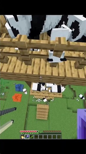 Minecraft Players Are OBSESSED With This Panda Elevator