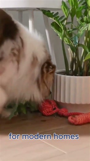 Upgrade Your Space Today! ✨