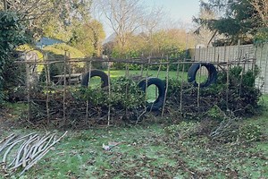 From fallen branches to functional fencing: Make a DIY dead hedge