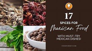 17 Spices for Mexican Food with Must-Try Mexican Dishes! | Food For Net