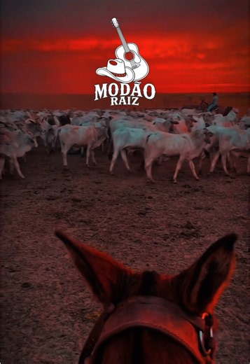Modão sertanejo para status: os melhores modões para WhatsApp