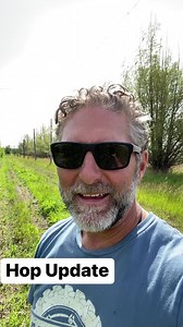 Chinook hop field visit. Wow! Look at them grow! | Farmery Brewery