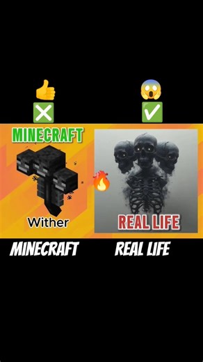 minecraft vs real life