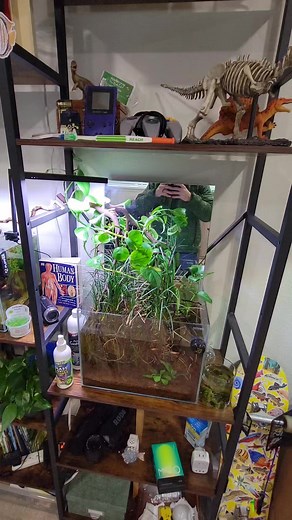 38K views · 267 reactions | Mirror cool or naw?  #fish #nature #clean #vibes | Aquapros | Facebook