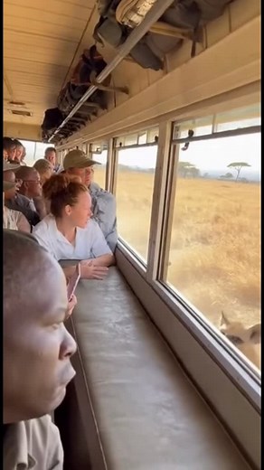 12K views · 1.7K reactions | Hyena mom drops her baby | AI Dog Scientist | Facebook