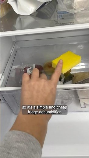 How To Remove Fridge Odors? – Works Every Time! #OdorRemoval