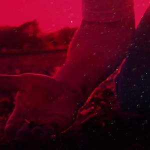 48K views · 228 reactions | Risk management? You can say that again. Diversify your operation with a hybrid mix built for success. #MixMatters | LG Seeds | Facebook