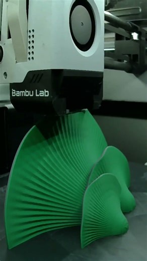 Reptile Mushroom Shelf | Timelapse