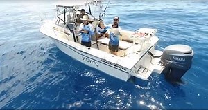 6.1K views · 295 reactions | Bats Fishing love the #GradyLife down...