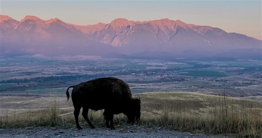 Behind the lens: Plains shutterbug shares photos with KPAX