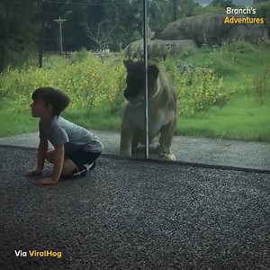 Glass door got them | Branch Warren