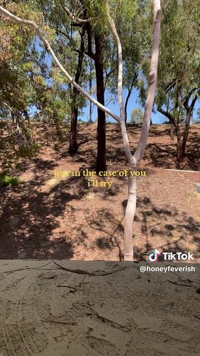 setting a timer for 1h