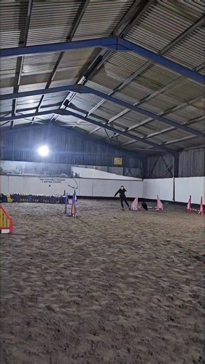🌟 Beginner Agility Progress! 🌟 Our beginner agility dogs have been absolutely smashing their foundations over the last few weeks 🙌 Building solid foundations is key, and it’s been brilliant to see handlers and dogs now beginning to link skills together into short sequences. From jumps to tunnels, lead-outs and focus work – the progress has been fantastic 👏 It’s not just about running courses; it’s about developing communication, confidence and teamwork between dog and human. Watching those l