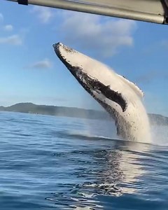 33K views · 812 reactions | This would be AMAZING and TERRIFYING at the same time 勞 (via theweekendwarriors1/TT) | Overtime | Facebook