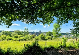 Vacances à Saint-Hubert (Belgique, Forêt de St-Hubert)