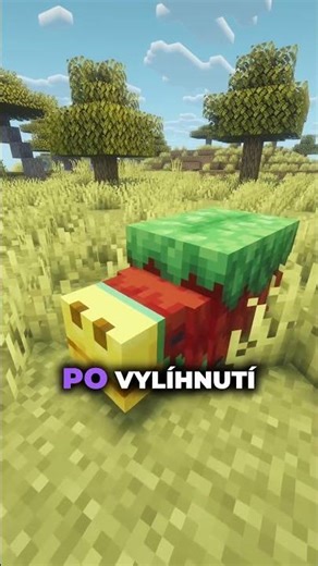 Tohoto vzácného moba v Minecraftu jen tak nepotkáte! 🕵️‍♂️🐢 #minecraft #mctutorial #shorts #shorty