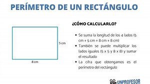 Área y perímetro de un RECTÁNGULO - resumen y ejercicios