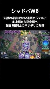 [Two copies of Celestial Crystal Abyss vs. two consecutive Ortenia] From ground battle to aerial ...