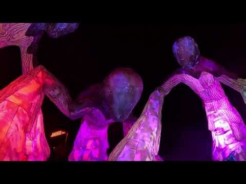 GLEAM 2025 at Olbrich Botanical Gardens