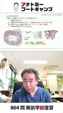 【6-1】精巣について誤っている記述はどれか