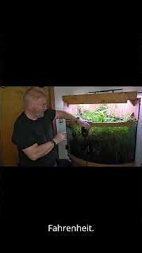 hygger Aquarium Heater 300W-1200W Fish Tank Heater with Multiple Security Protections..