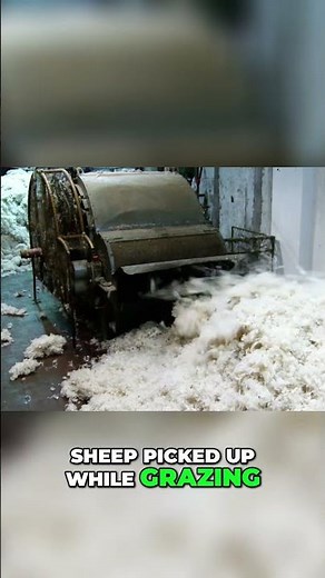 Wool Factory From Raw to Soft Fabric Transformation