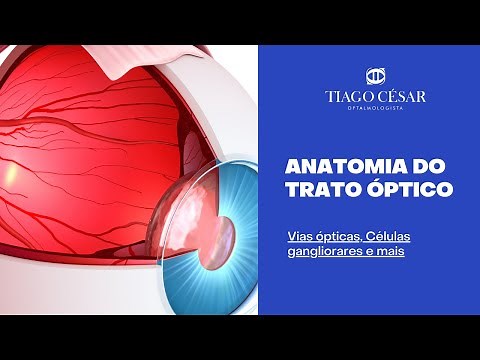 Anatomy of the Optic Tract of the Human Eye | Optic Pathways | Ganglionic Cells - Dr. Tiago César