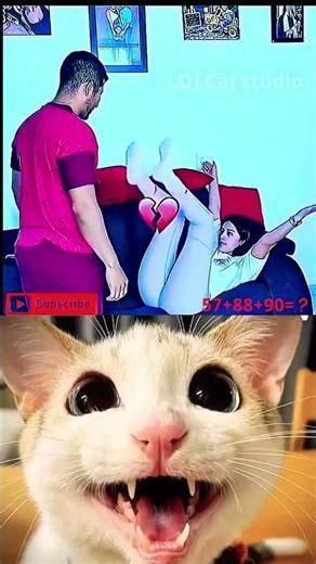 #cat #relatable #shorts